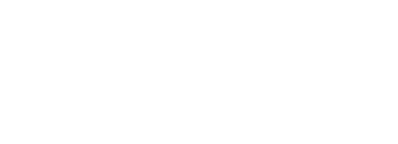 News Interno Liche